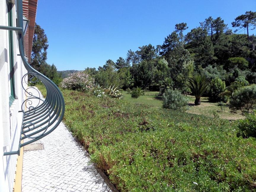 Quinta Da Torre - Obidos Country House Exterior photo